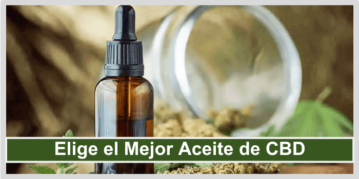 Elige el Mejor Aceite de CBD Portada