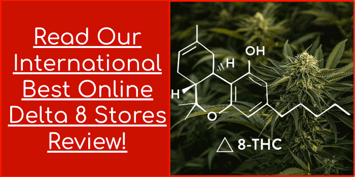 Read Our International Best Online Delta 8 Stores Review