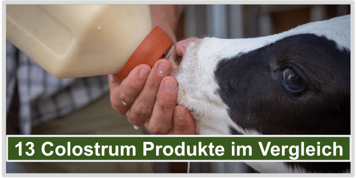 Colostrum Vergleich Titelbild